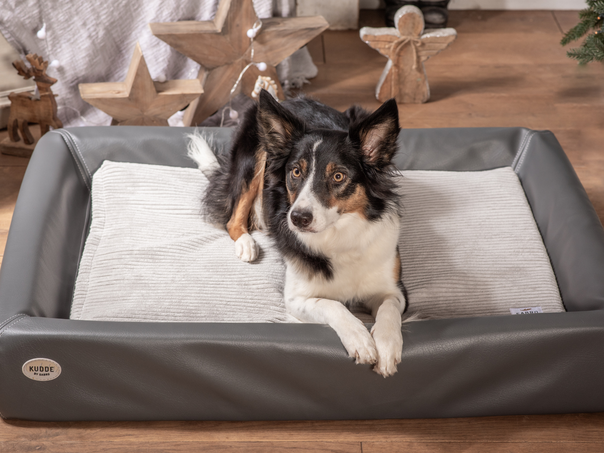 Orthopedic Memory Foam Dog Bed Insert - MUMIN Corduroy