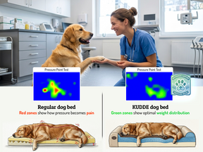 Orthopedic Dog Bed in Premium Vegan Leather - KUDDE®